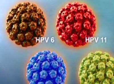 hpv疫苗在美国叫停？谣言止于智者