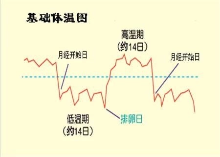 排卵期同房怀孕几率有多大