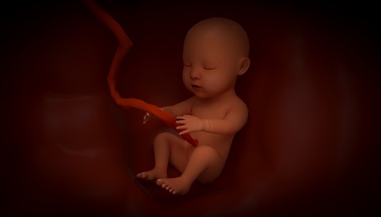 胎儿性别是从哪一刻决定的呢？孕